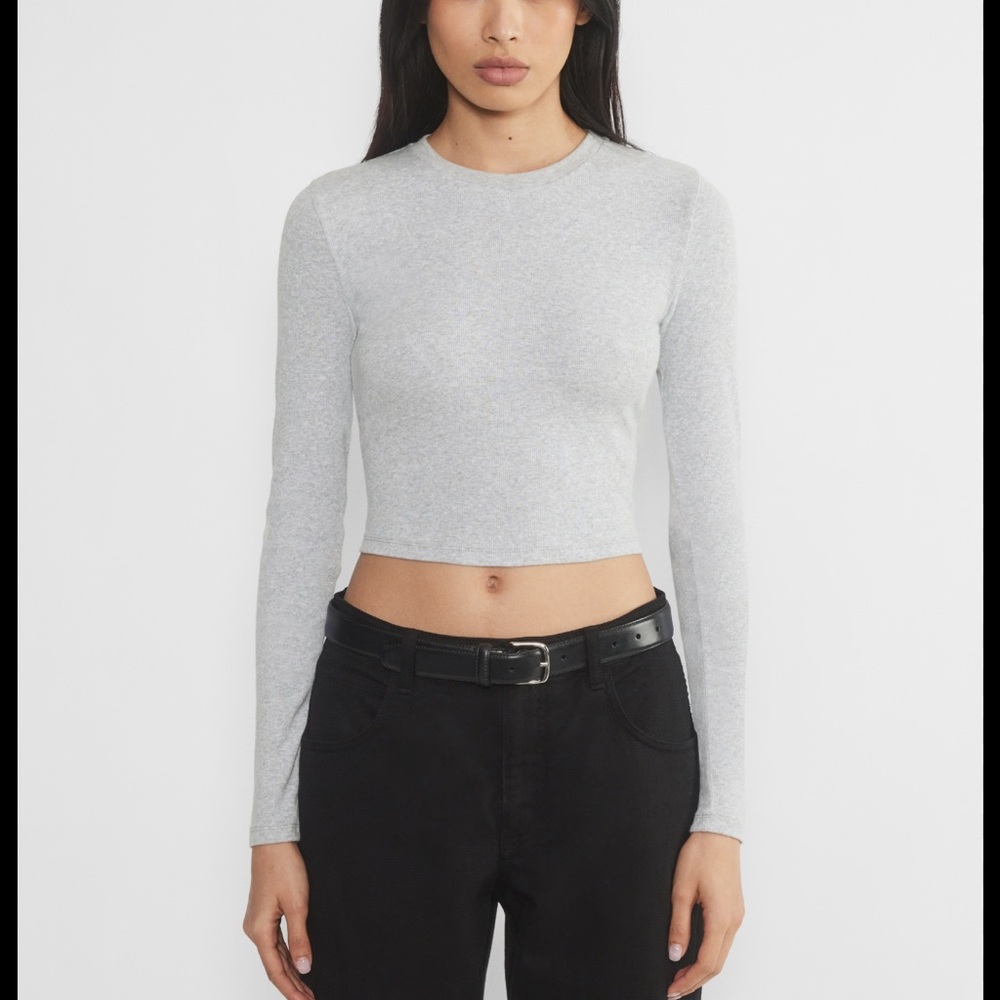 Aritzia TNA Homestretch™ Rib Crew Waist Longsleeve / color: heather chrome